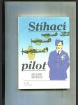 Stíhací pilot - náhled