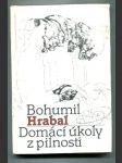 Domácí úkoly z pilnosti - náhled