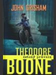 Theodore Boone, detský právnik - náhled