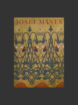 Josef Mánes malíř vzorků a ornamentu - náhled