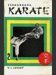 Sebaobrana - karate 2 - náhled