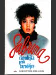 Sabrina 2 - čarodějka proti čarodějce ant. (Sabrina the teenage witch showdown at the mall) - náhled