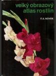 Velký obrazový atlas rostlin - náhled