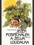 Ježek Pospíchálek a želva Loudalka - náhled