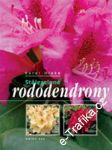 Stálezelené rododendrony - náhled