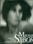 Miloslav Stibor - monografie - náhled