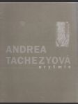 Andrea Tachezyová - Arytmie - náhled