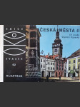 Česká města 2 - náhled