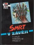 Smrt v závěji - náhled