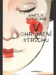 V ohromení a strachu   - náhled