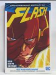 Flash: Když blesk udeří dvakrát - náhled
