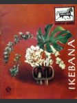 Ikebana - náhled