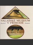 Valašské muzeum v přírodě - náhled