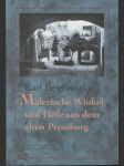 Malerische Winkel und Hofe aus dem alten Pressburg - náhled