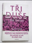 Tři duše na boso - náhled