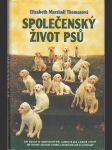 Společenský život psů - náhled