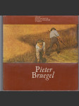 Pieter Bruegel - náhled