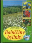 Babiččiny bylinky - náhled