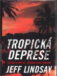 Tropická deprese - náhled