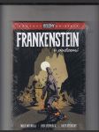 Frankenstein v podzemí - náhled