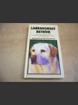 Labradorský retriever - náhled