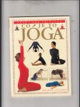 Co je to Jóga (Systematický průvodce pro Iyengarově metodě jógy pro relaxaci, zdraví a duševní a tělesnou pohodu) - náhled