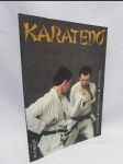 Karatedo - náhled
