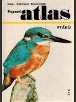 Kapesní atlas ptáků - náhled