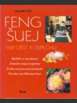 Feng Šuej. 168 ciest k úspechu - náhled
