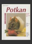 Potkan (Ratten als Heimtiere) - náhled