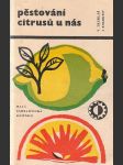 Pěstování citrusů u nás - náhled