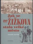 Jak se ze Žižkova stalo velké město: 1865-1914 - náhled
