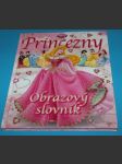 Princezny Obrazový slovník - Disney - náhled