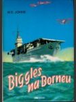 Biggles na Borneu - náhled