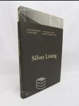 Silver Lining - 25. výročí Ceny Jindřicha Chalupeckého / 25th Anniversary of the Jindřich Chalupecký Award - náhled