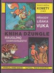 Příhody lišáka Vuka / Kniha džungle - Mauglího dobrodružství - náhled