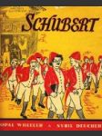 Franz Schubert - náhled