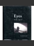 Eyes wide open [František Drtikol; fotografie; umění] - náhled