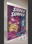 Silver Surfer: Podobenství - náhled