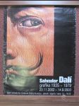 Salvador Dalí: grafika 1965-1979 - náhled