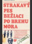 Strakavý pes bežiaci po brehu mora - náhled