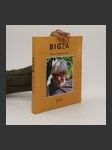 Bigza : pokus o životopisný román - náhled