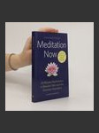 Meditation Now. 10-Minute Meditations to Restore Calm and Joy Anytime, Anywhere - náhled