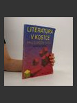 Literatura v kostce pro střední školy - náhled