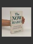 The Now Habit - náhled