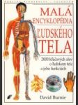 Malá encyklopédia ľudského tela - náhled