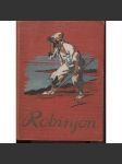 Robinson Crusoe. Podivuhodné příběhy trosečníka na pustém ostrově (dobrodružství, mořeplavectví) - náhled