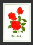 Růže lásky - náhled