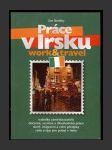 Práce v Irsku - náhled