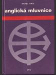 Anglická mluvnice - náhled